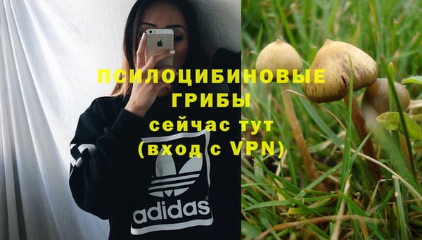 mdpv Аркадак