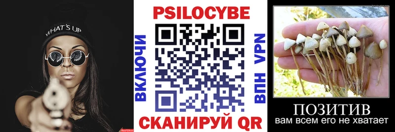 Псилоцибиновые грибы MAGIC MUSHROOMS  где купить наркоту  мега ТОР  Лесной 